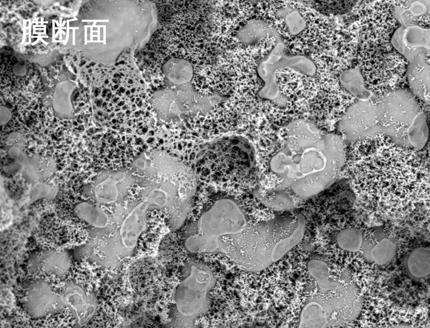香蕉91小视频燒結管式膜電鏡照片